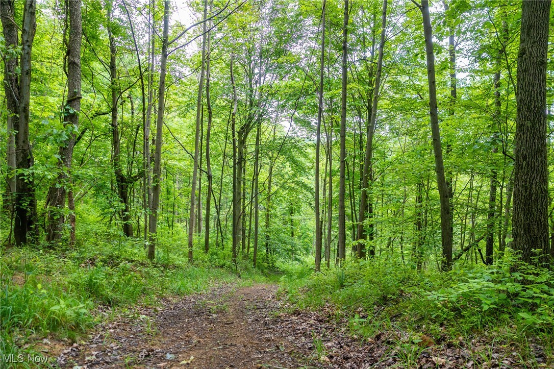Johnson Hill Road, Newcomerstown, Ohio image 5