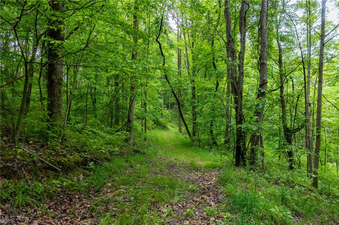 Johnson Hill Road, Newcomerstown, Ohio image 4