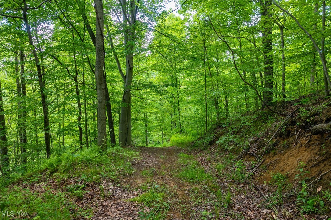Johnson Hill Road, Newcomerstown, Ohio image 9