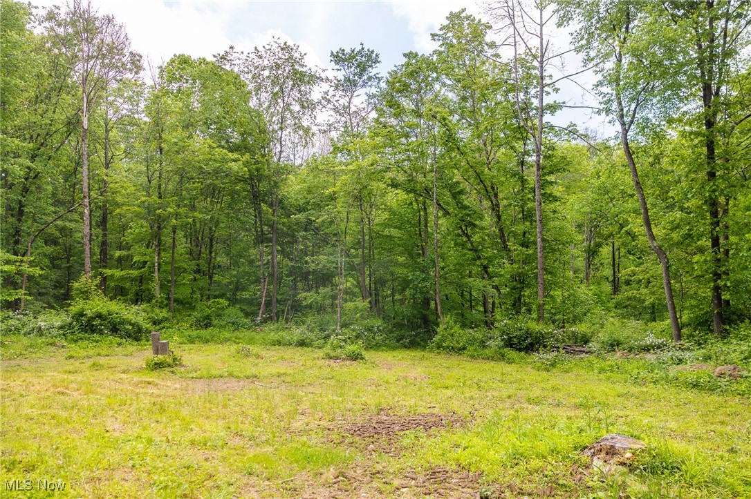 Johnson Hill Road, Newcomerstown, Ohio image 15