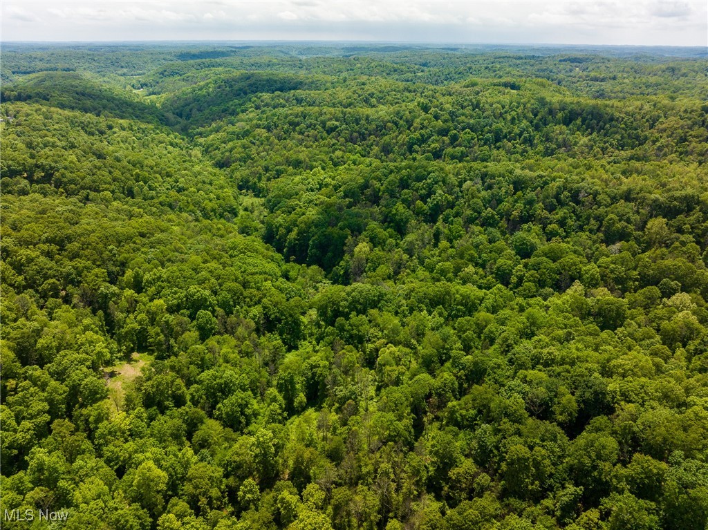 Johnson Hill Road, Newcomerstown, Ohio image 32