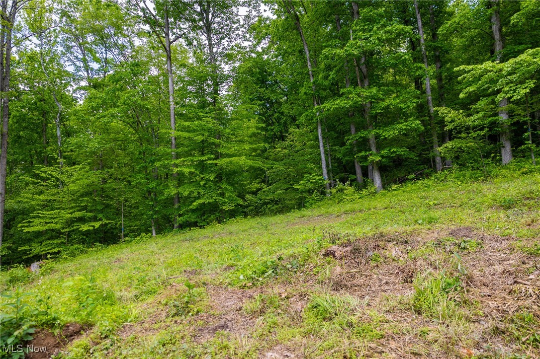 Johnson Hill Road, Newcomerstown, Ohio image 16