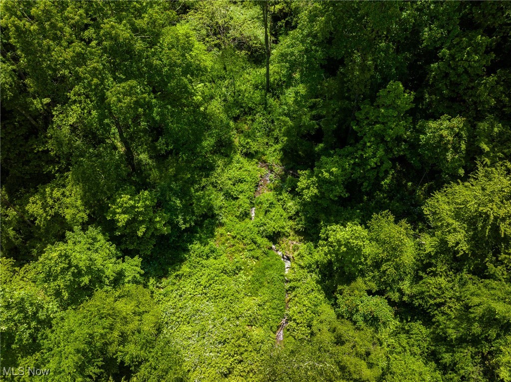 Johnson Hill Road, Newcomerstown, Ohio image 41