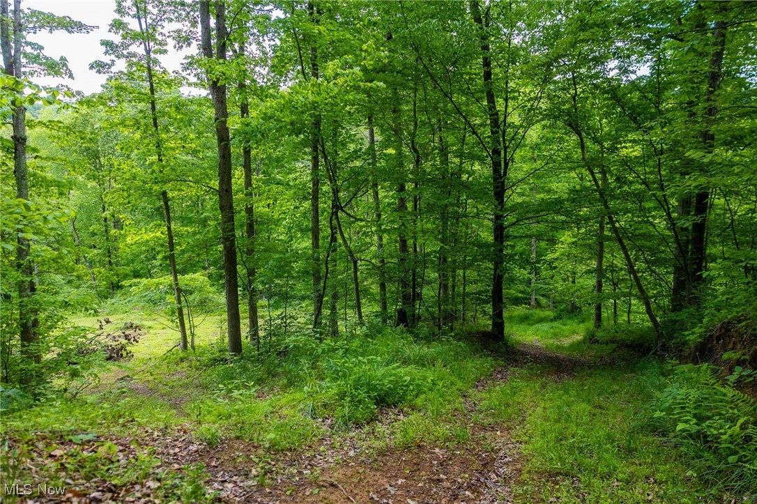 Johnson Hill Road, Newcomerstown, Ohio image 10