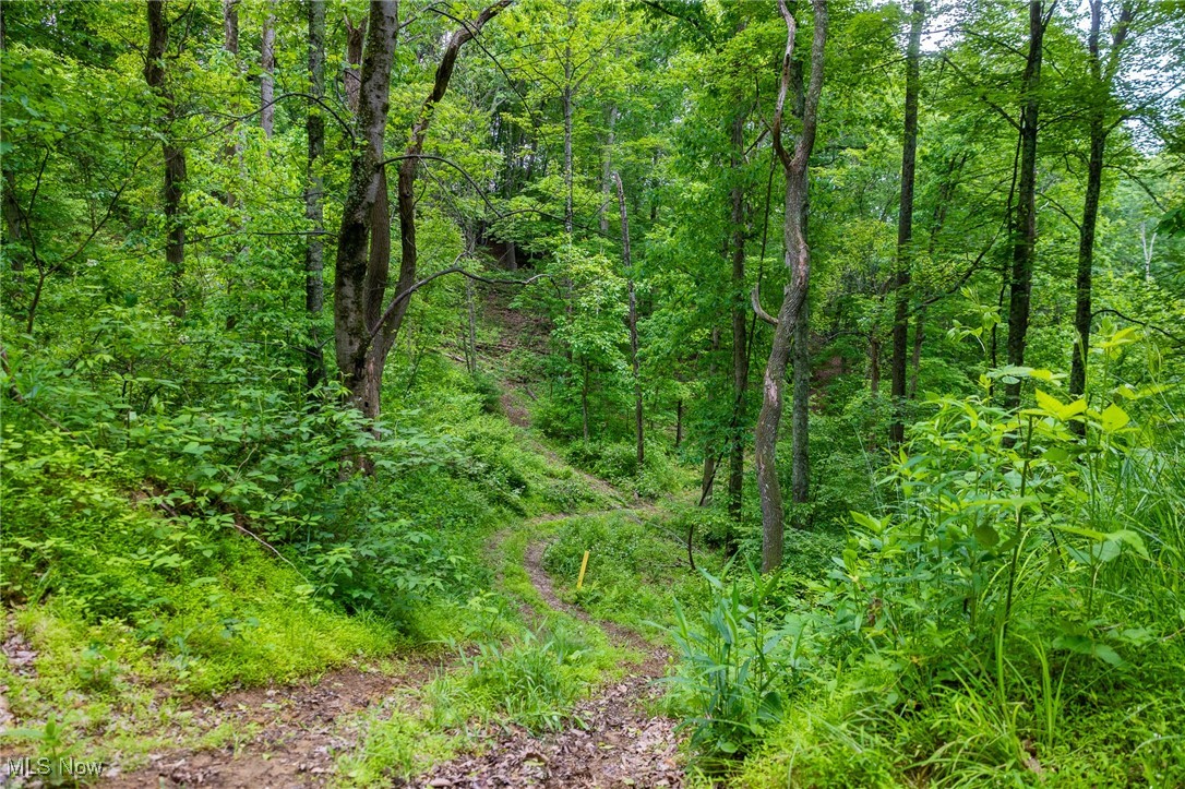 Johnson Hill Road, Newcomerstown, Ohio image 7