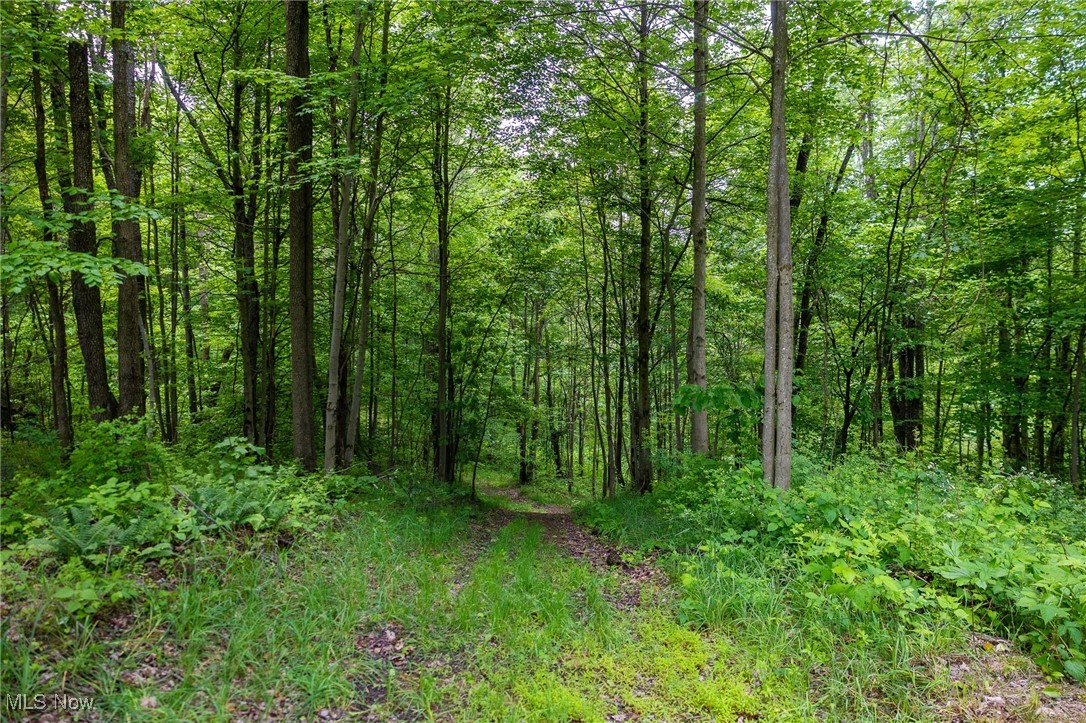 Johnson Hill Road, Newcomerstown, Ohio image 3