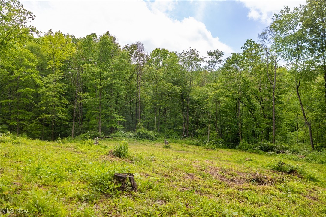 Johnson Hill Road, Newcomerstown, Ohio image 12