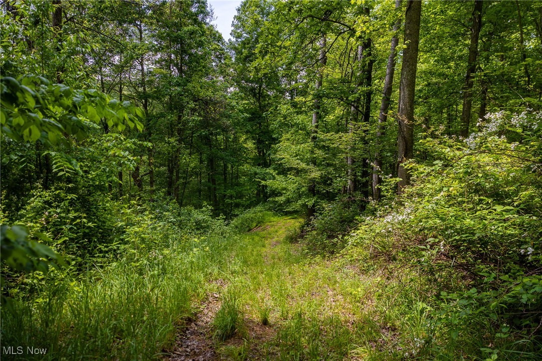 Johnson Hill Road, Newcomerstown, Ohio image 23