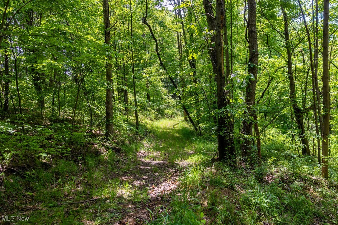 Johnson Hill Road, Newcomerstown, Ohio image 24