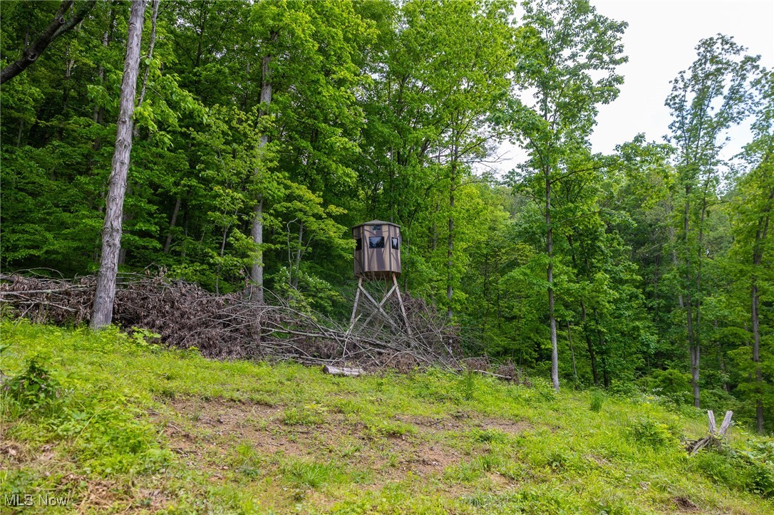 Johnson Hill Road, Newcomerstown, Ohio image 13