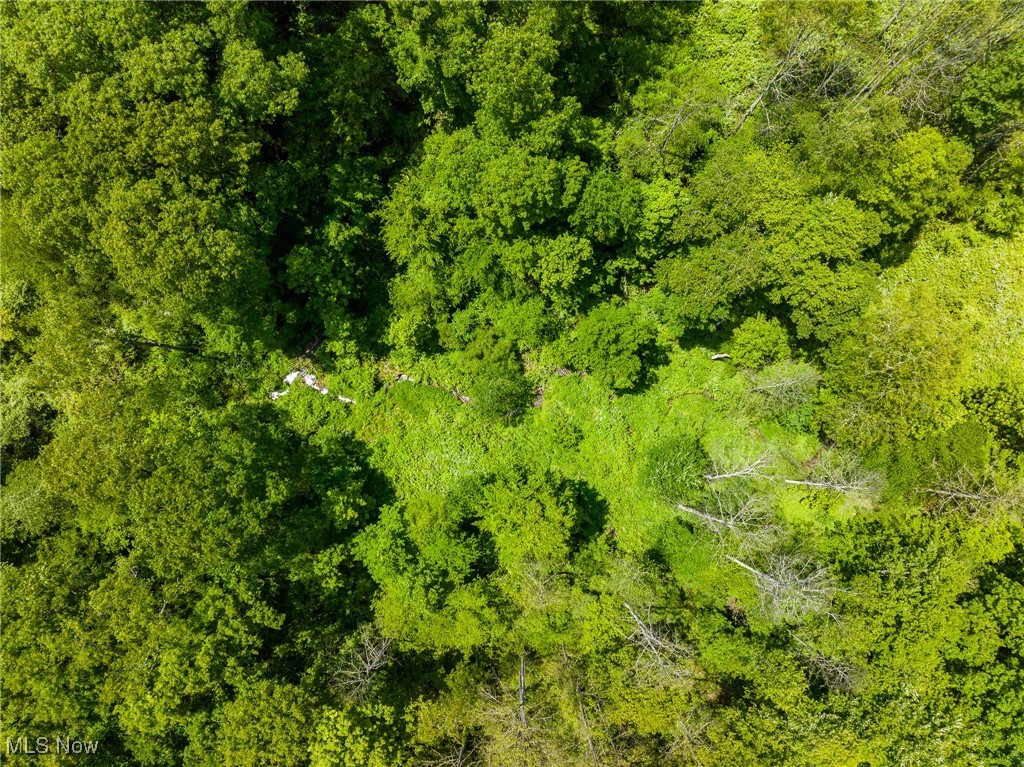 Johnson Hill Road, Newcomerstown, Ohio image 40