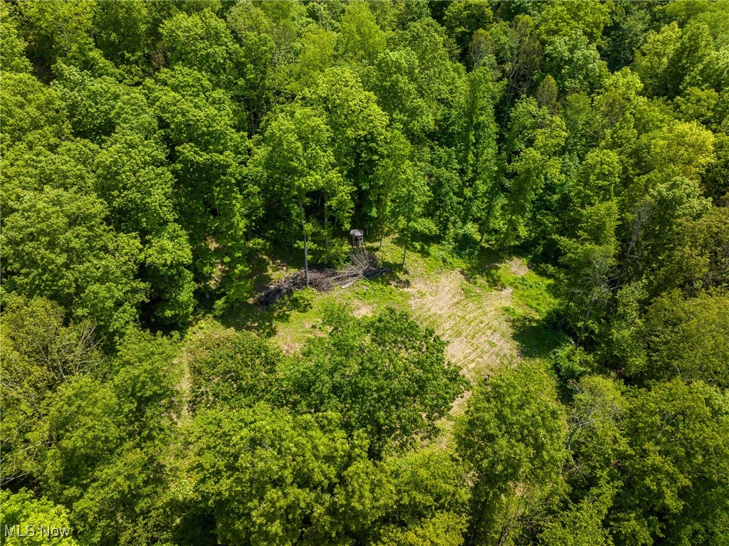 Johnson Hill Road, Newcomerstown, Ohio image 37