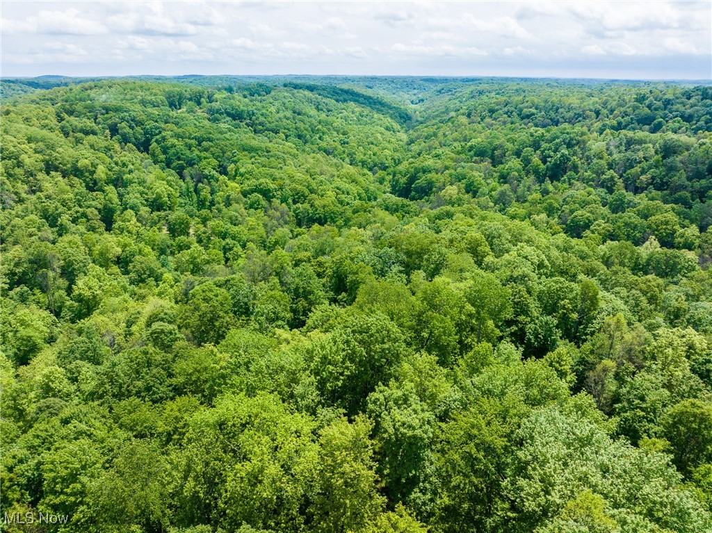 Johnson Hill Road, Newcomerstown, Ohio image 35