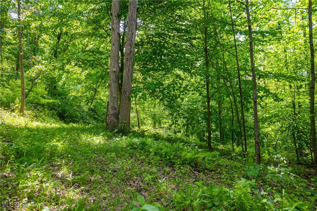 Johnson Hill Road, Newcomerstown, Ohio image 21