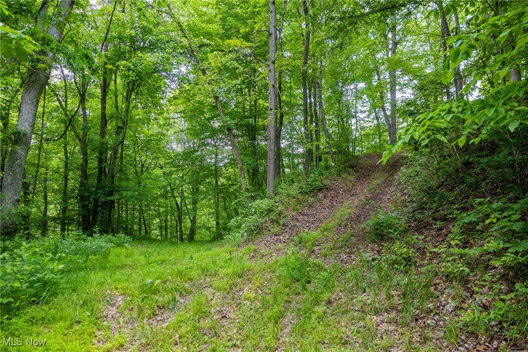 Johnson Hill Road, Newcomerstown, Ohio image 8