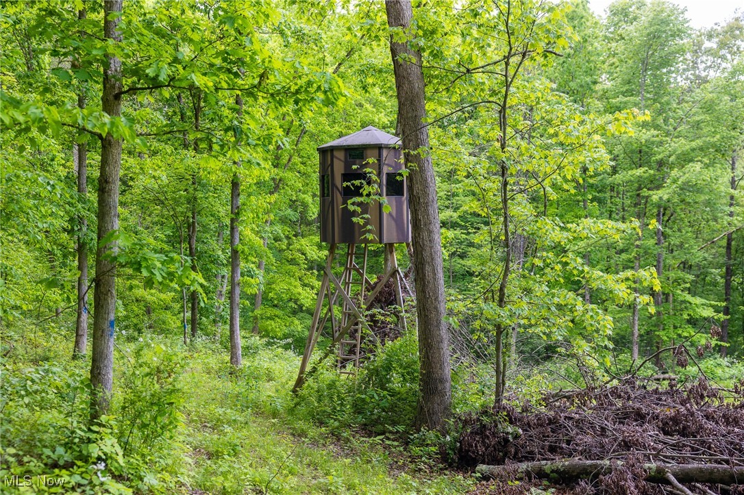 Johnson Hill Road, Newcomerstown, Ohio image 11