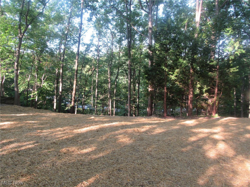 Woodlawn Ests Inc Ledgewood - Land