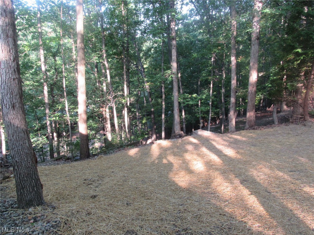 Woodlawn Ests Inc Ledgewood - Land