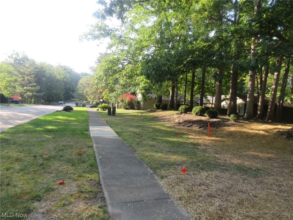 Woodlawn Ests Inc Ledgewood - Land