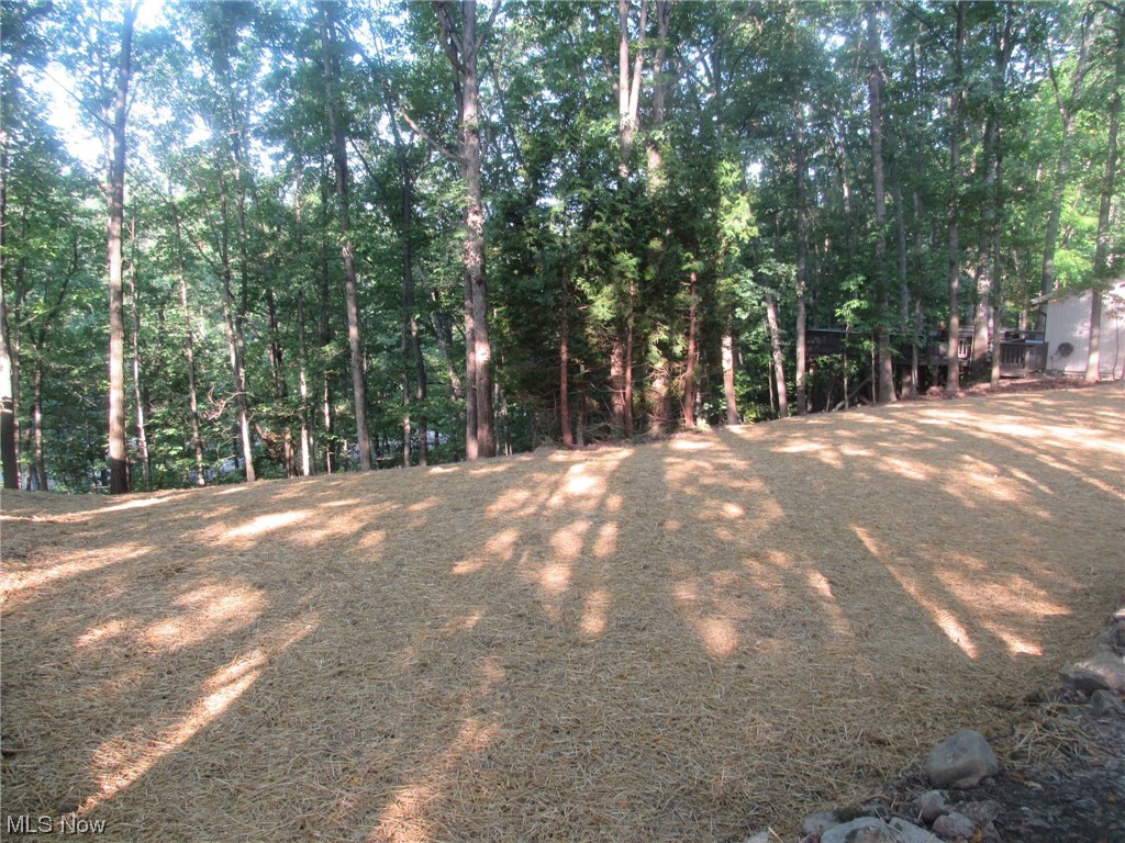 Woodlawn Ests Inc Ledgewood - Land