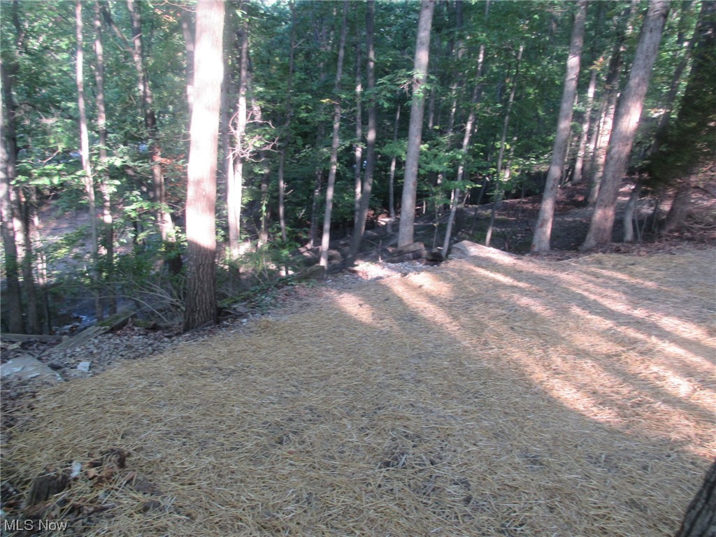 Woodlawn Ests Inc Ledgewood - Land