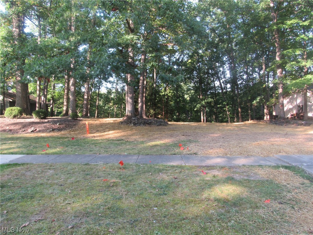 Woodlawn Ests Inc Ledgewood - Land