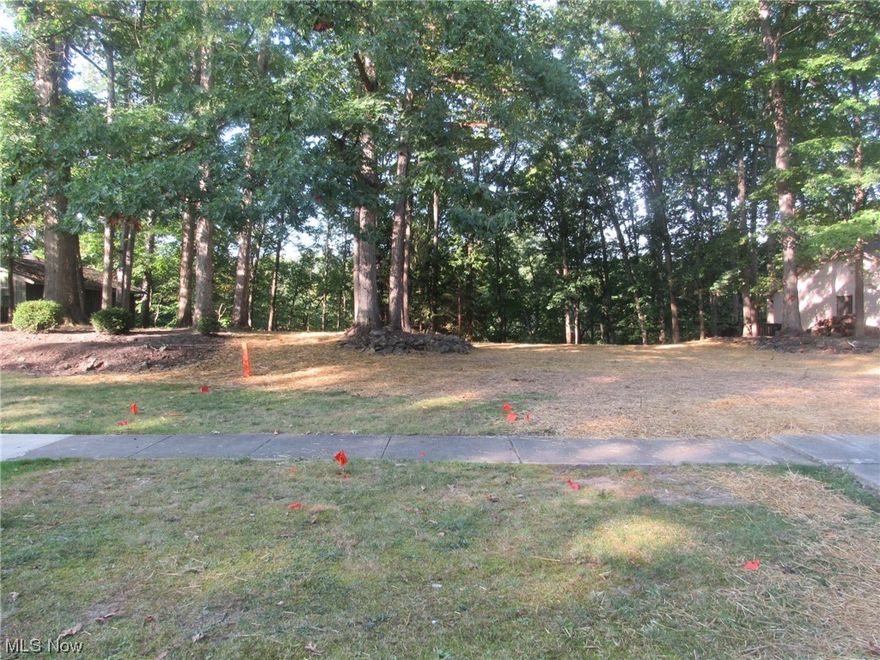 Once in a lifetime opportunity to purchase a buildable lot in this desirable development. The property that was on it previously has been demolished. The city was contacted about this property and they said they would be open to granting a variance to for the new owner to build a home on the property farther away from the ravine than the current properties on the street. The property is located on a hill overlooking the ravine and the road below has a rural feel and the views from the back are picturesque. Don't let this rare opportunity pass you by!