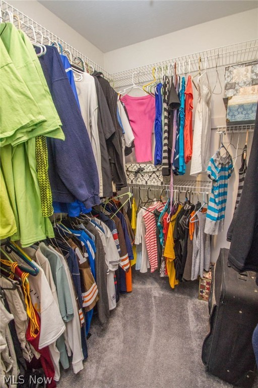 Forestview Allotment 01 - Residential