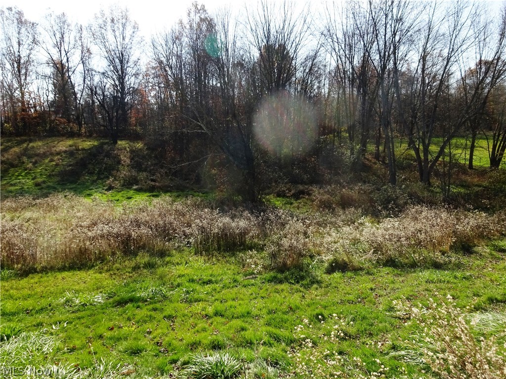 Ravenna - Residential