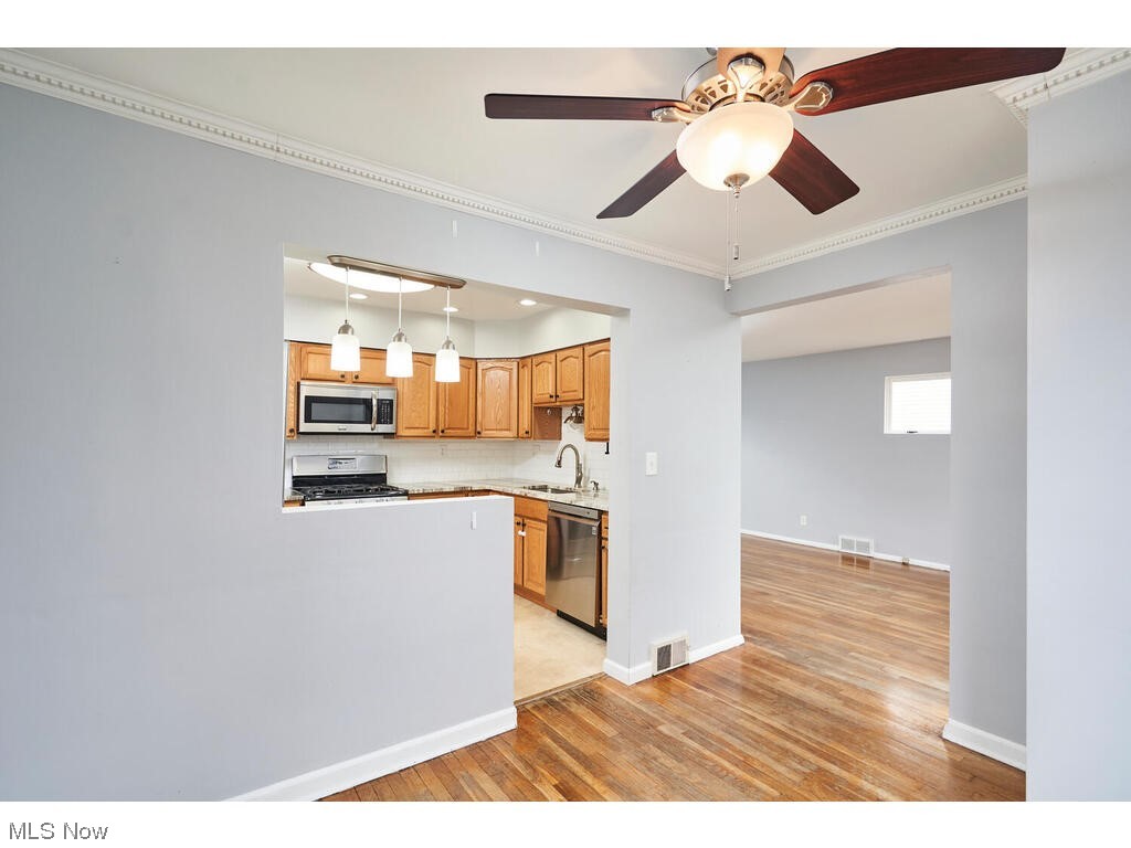 Friedhaven Allotment - Residential