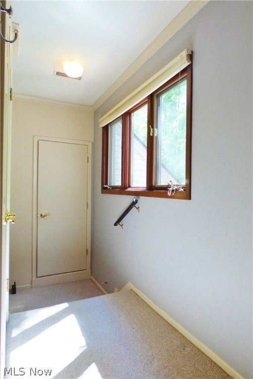 Trees Condo - Residential