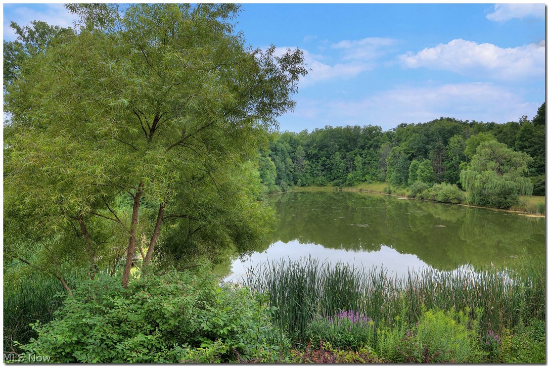 Carriage Park - Residential