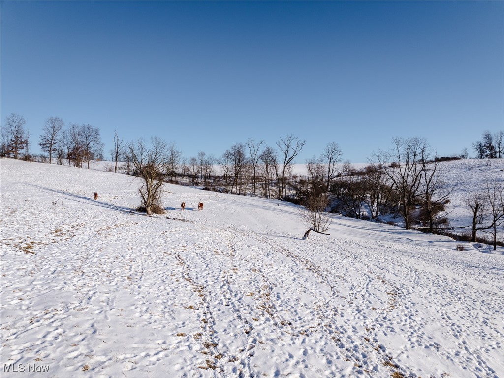 Township Road 157, Walnut Creek, Ohio image 8