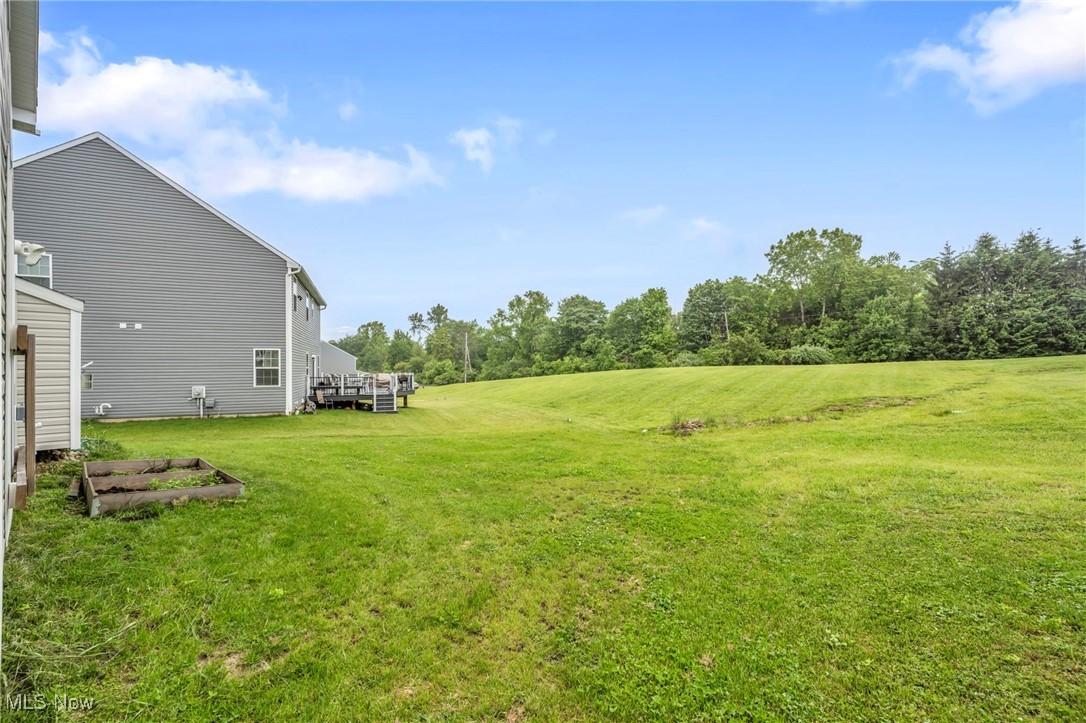 4689 Louis Lane, Stow, Ohio image 41