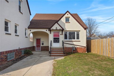 Tiny photo for 19417 Mohawk Avenue, Cleveland, OH 44119 (MLS # 5185493)