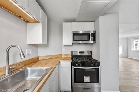 Tiny photo for 19417 Mohawk Avenue, Cleveland, OH 44119 (MLS # 5185493)