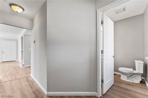 Tiny photo for 19417 Mohawk Avenue, Cleveland, OH 44119 (MLS # 5185493)