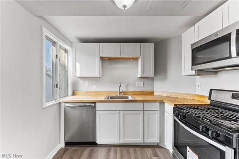 Tiny photo for 19417 Mohawk Avenue, Cleveland, OH 44119 (MLS # 5185493)