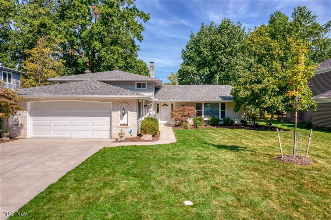 Welcome to this beautifully updated split-level home, perfectly situated on a cul-de-sac in one of Rocky River’s most sought-after neighborhoods. Backing directly to Tri-City Park, this 4-bedroom, 2.5-bath residence offers peaceful park views and seamless access to green space right outside your door. Step inside to a fully remodeled kitchen, living, and dining area that create a unique open concept with modern finishes, new flooring, stylish lighting, new bay window, new rear-facing windows, and new exterior entry doors. This open-concept main living area boasts vaulted ceilings and flows effortlessly from the dining space to sliding glass doors that lead out to a spacious new patio and fully fenced backyard—ideal for entertaining or relaxing in comfort. Custom-made, hand-crafted railings and banisters add character, while the lower level offers a cozy family room with a wood-burning fireplace, an additional bedroom, and a remodeled utility/mud room for added convenience. Major updates include a new electrical panel, whole-house insulation, and a new driveway. Enjoy optional HOA membership with year-round programming, and take advantage of the home’s prime location near Metroparks, Lake Erie, downtown Cleveland, the airport, and the West Side’s many amenities. This home effortlessly combines modern updates with timeless Rocky River charm—schedule your private showing today!