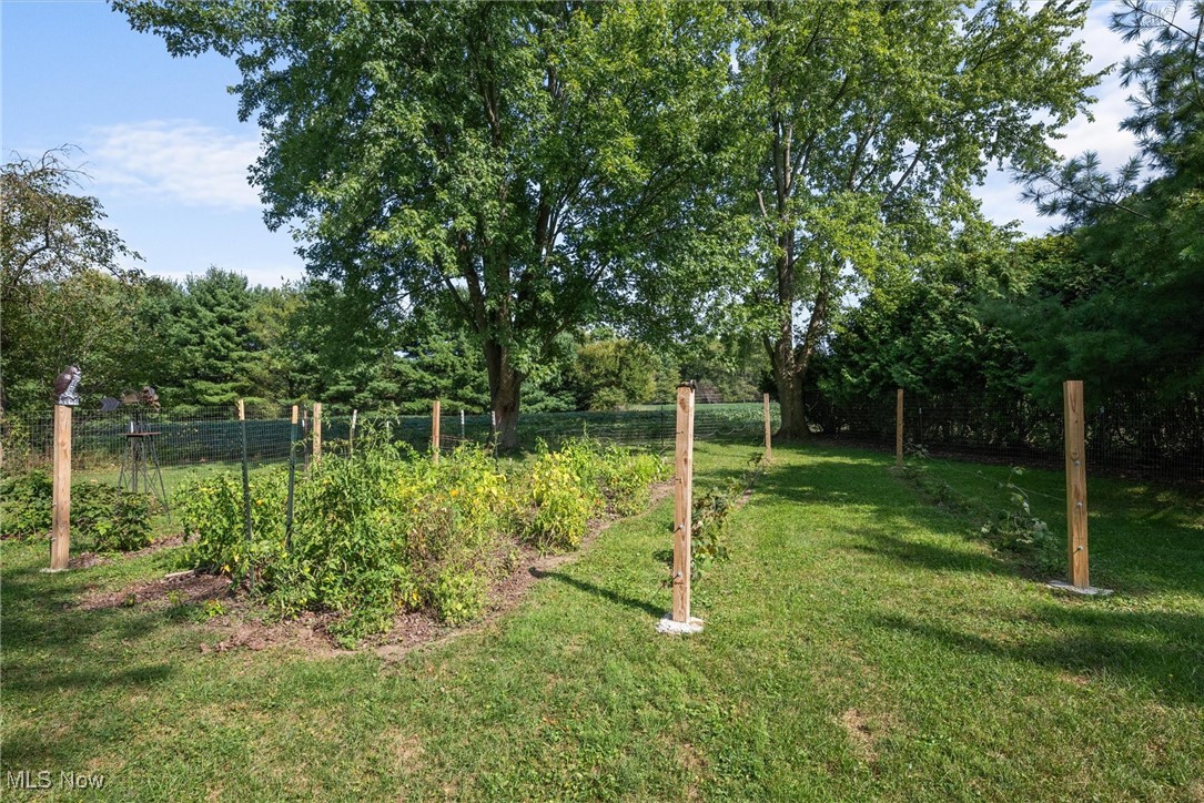 Town & Country Allotment - Residential