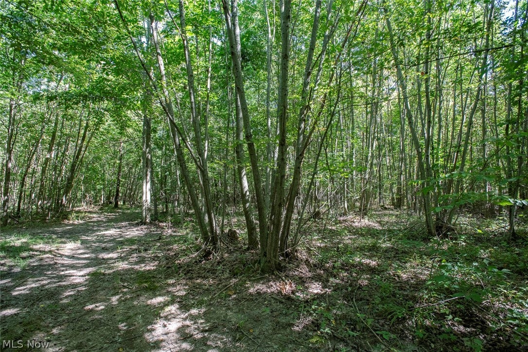 Dunham Road Lot 3