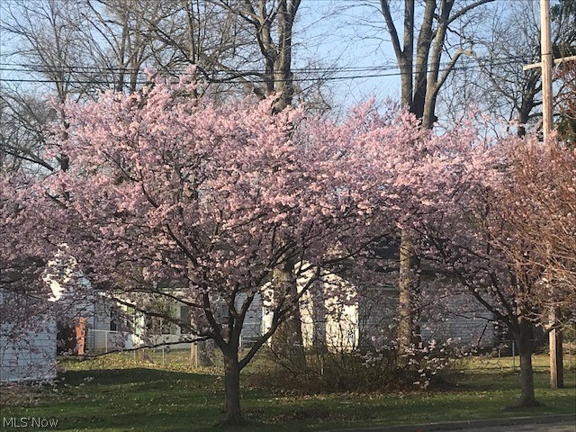 Woodland - Residential