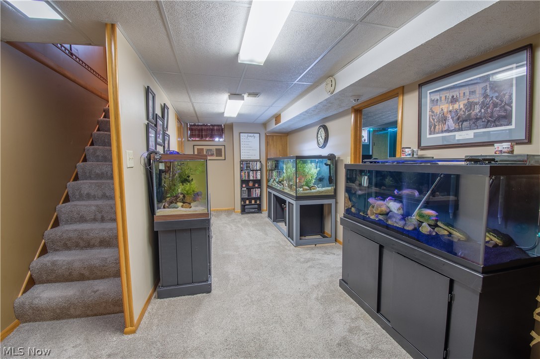 Wild Cherry Hill - Residential