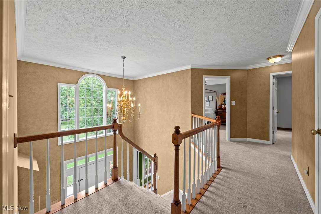 Bridgewater Place - Residential