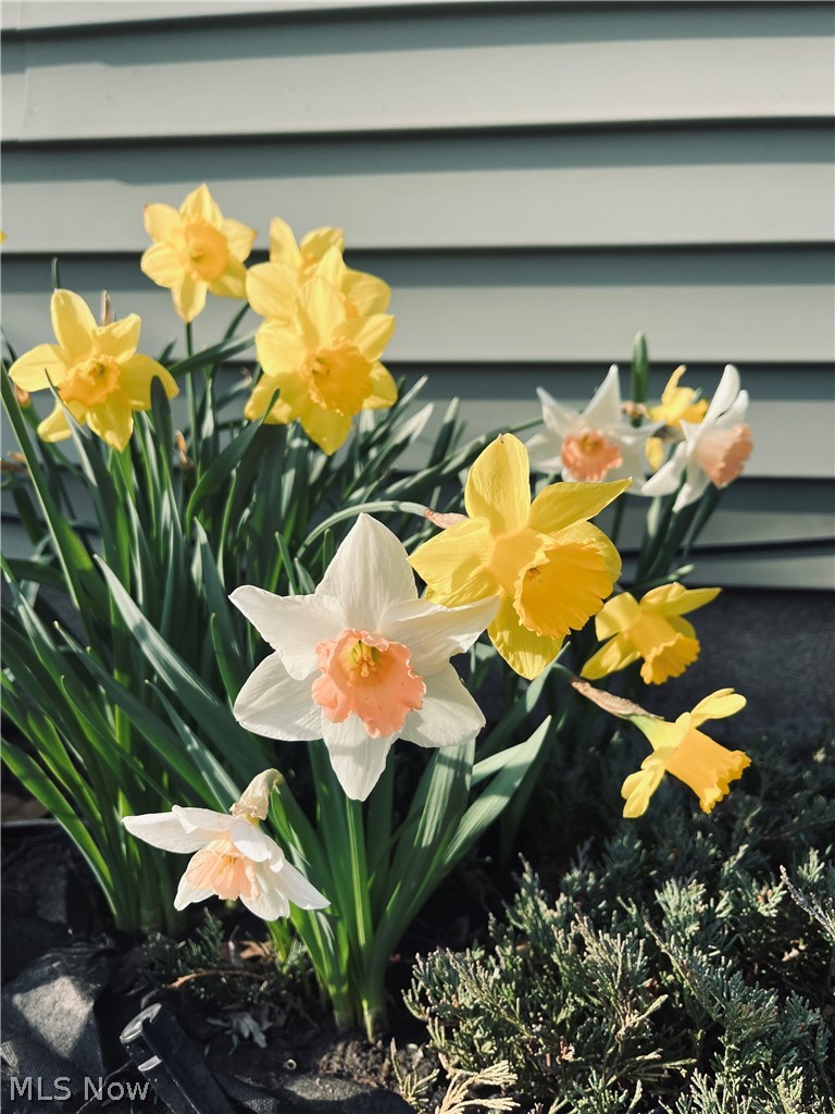 Madison Beach Sub - Residential