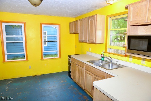 12532 Lake Drive, Burton, Ohio image 2