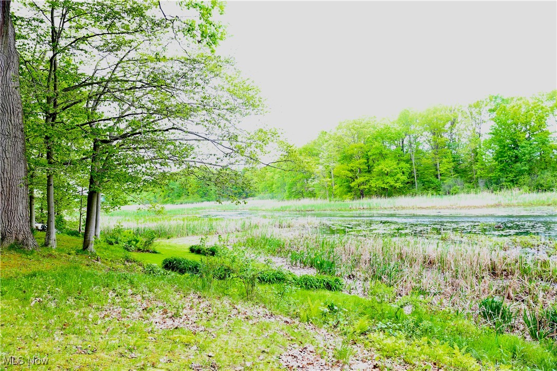 12532 Lake Drive, Burton, Ohio image 12