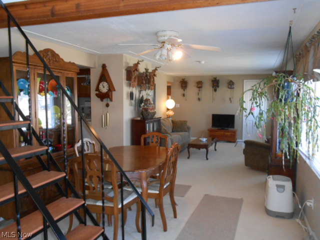 Padway - Residential