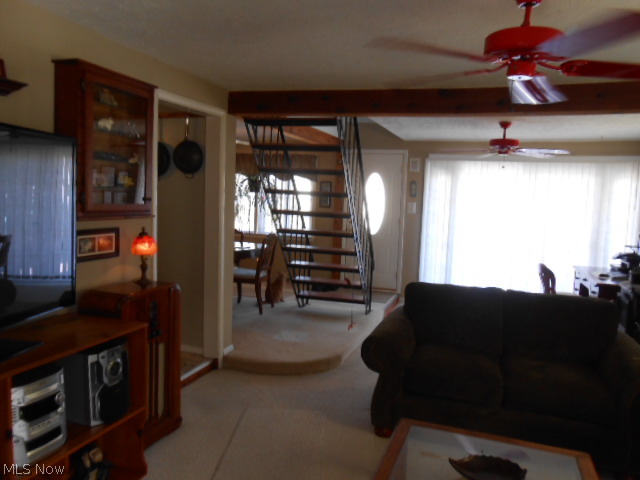 Padway - Residential