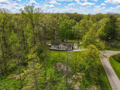 Tiny photo for 4613 N Lake Road, West Farmington, OH 44491 (MLS # 5210556)